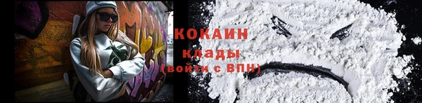 дживик Дрезна