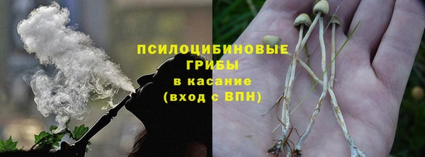 мдпв Дубна