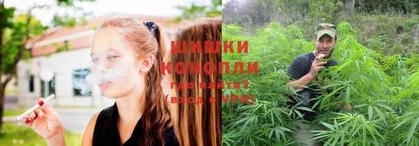 дживик Дрезна