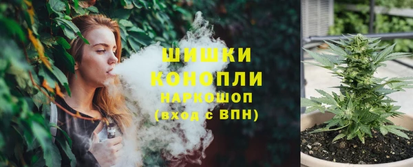 дживик Дрезна