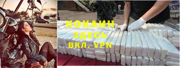 дживик Дрезна