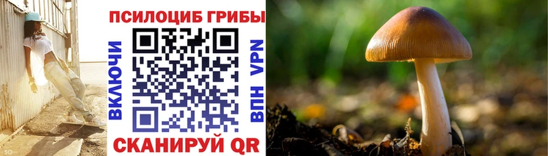 Псилоцибиновые грибы ЛСД  Кириллов 